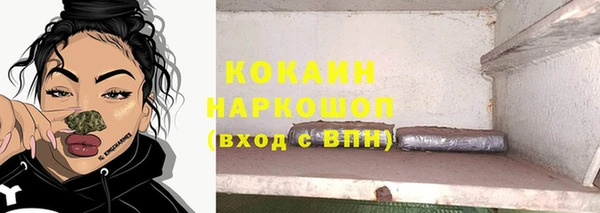 гашик Алексеевка