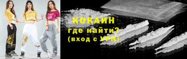 apvp Алексин