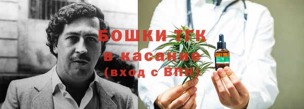гашик Алексеевка