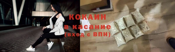гашик Алексеевка