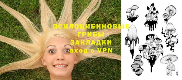 дживик Алзамай